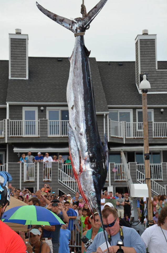 7 Ways NOT TO Get Arrested at the White Marlin Open